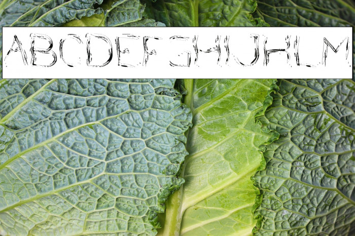 Nice Dream Come True-Inverse Example 1