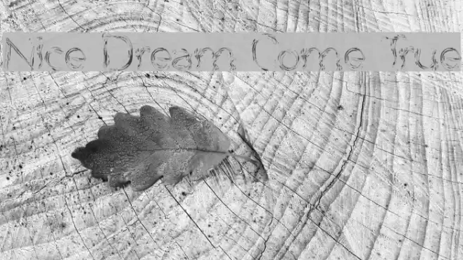 Nice Dream Come True Font examples