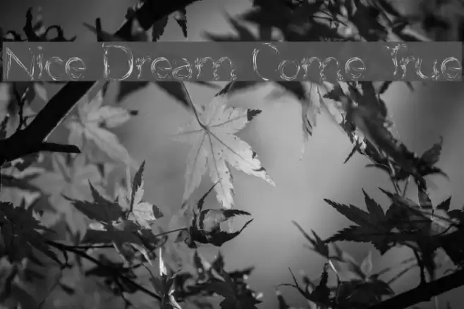 Nice Dream Come True Font examples
