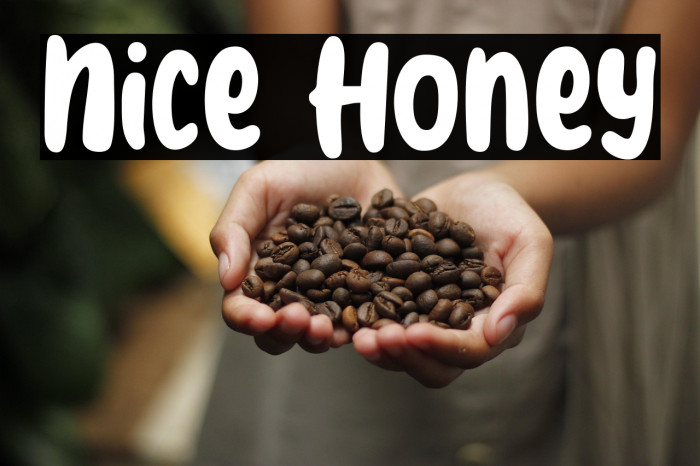 Nice Honey Example 1