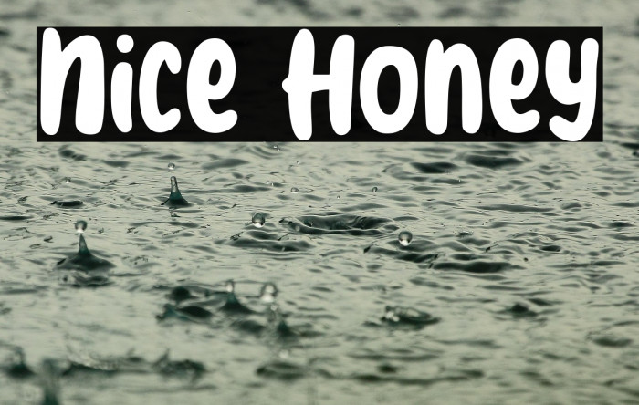 Nice Honey Example 2