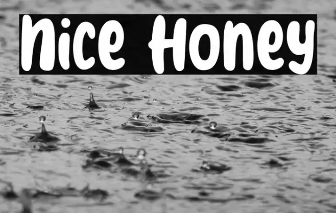 Nice Honey Font examples