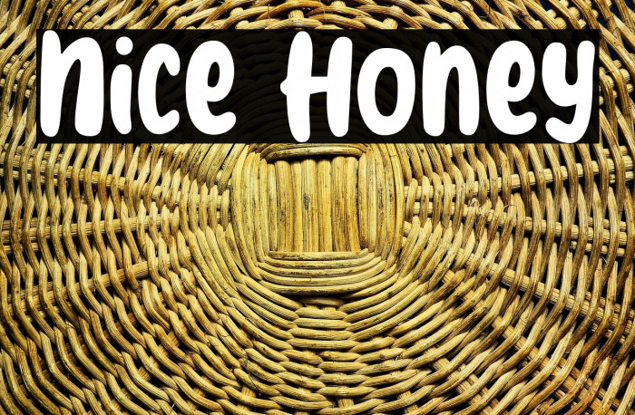 Nice Honey Example 3