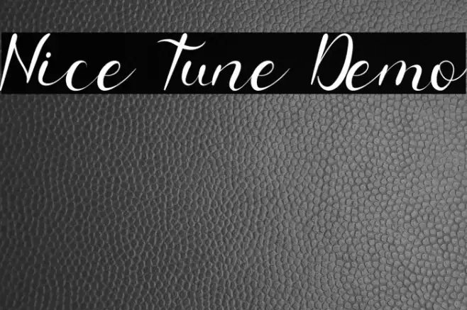 Nice Tune Demo Example 1