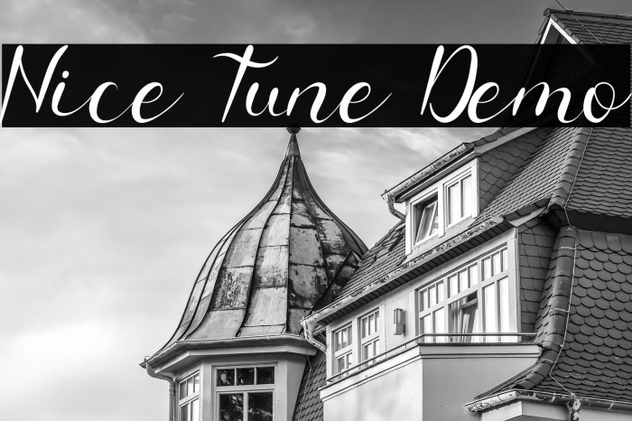 Nice Tune Demo Example 3