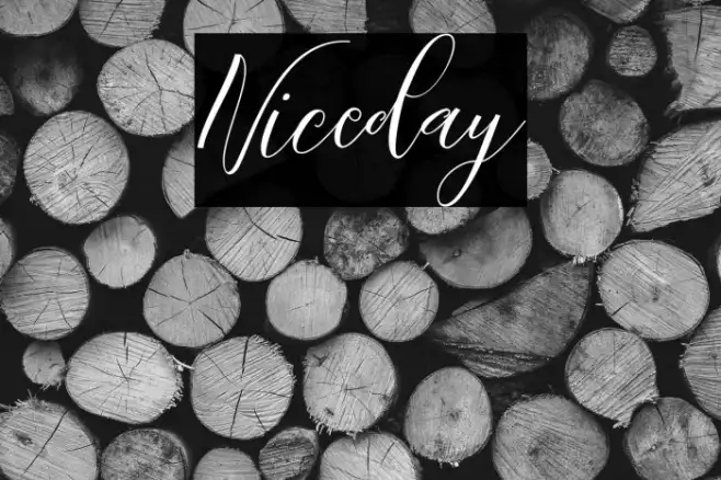 Niceday Example 1