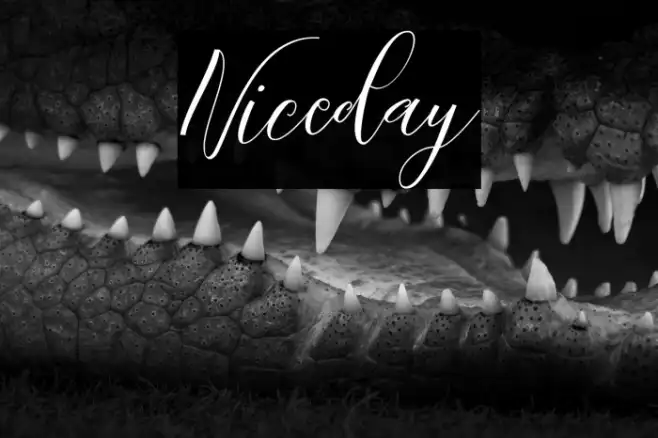 Niceday Example 2
