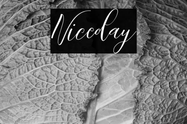 Niceday Example 3