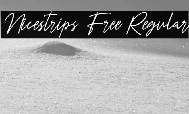 Nicestrips Free Regular Caratteri examples