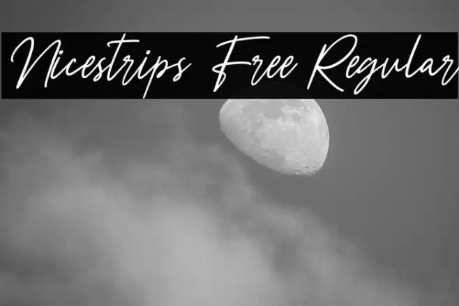 Nicestrips Free Regular Caratteri examples