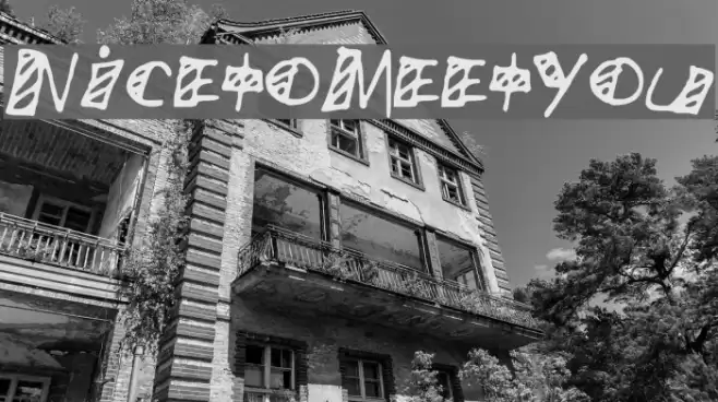 NicetoMeetYou Font examples