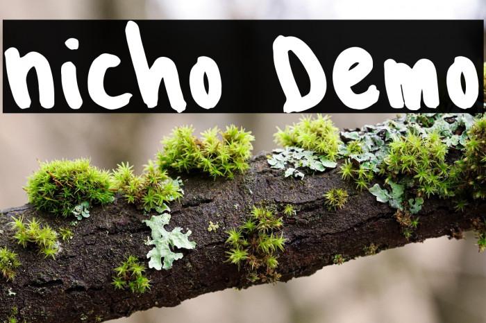 Nicho Demo Example 1