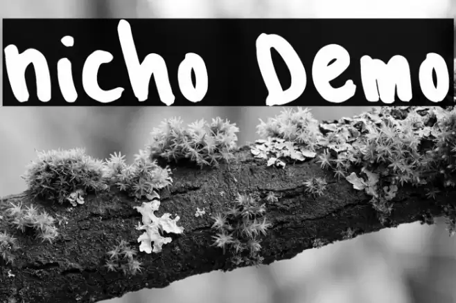 Nicho Demo Font examples