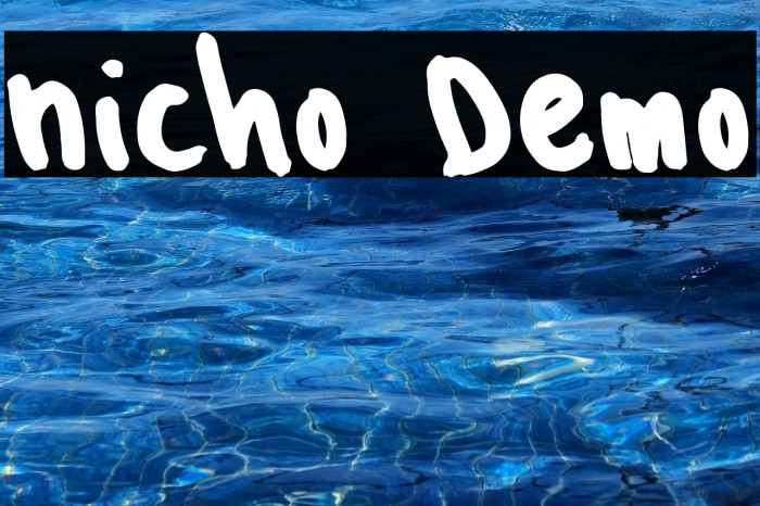 Nicho Demo Example 2