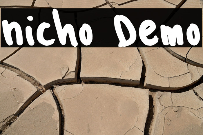 Nicho Demo Example 3