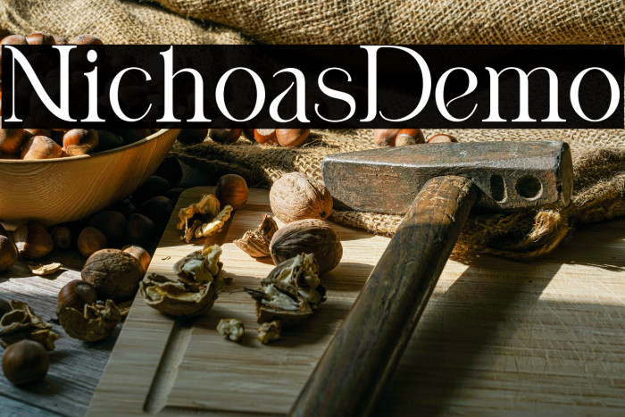 Nicholas Demo Example 1