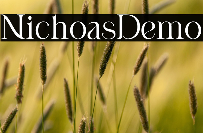 Nicholas Demo Example 2