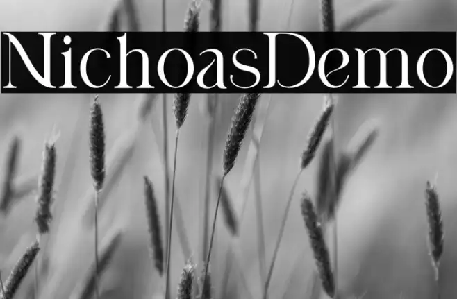 Nicholas Demo Example 2