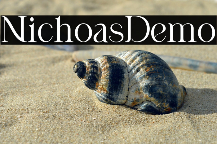 Nicholas Demo Example 3