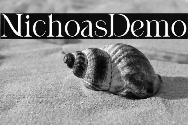 Nicholas Demo Example 3