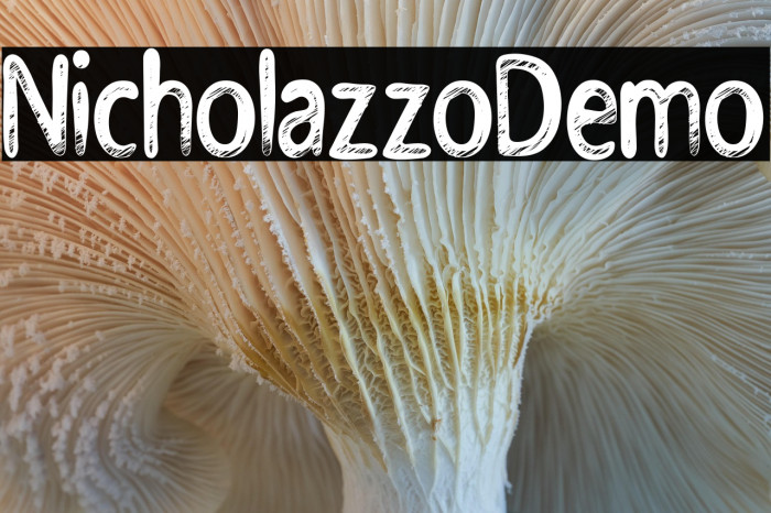 NicholazzoDemo Example 1