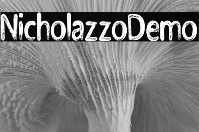 NicholazzoDemo Polices examples