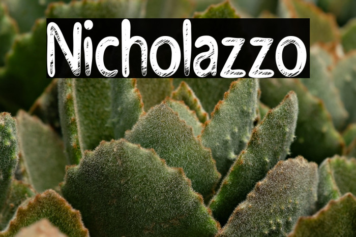 Nicholazzo Example 2