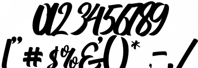 Nichole Script Font OTHER CHARS