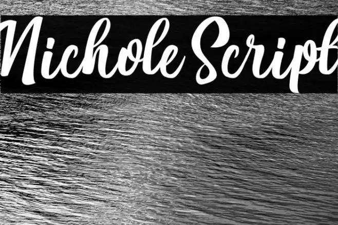 Nichole Script Font examples