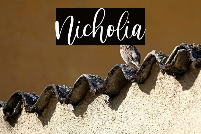 Nicholia Example 2