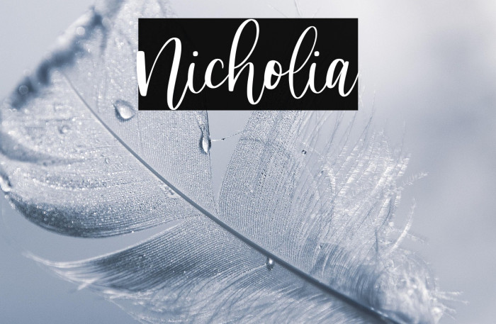 Nicholia Example 3