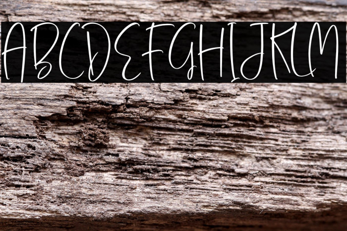 Nichollas Caffee Example 1