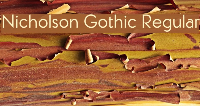 Nicholson Gothic Regular Example 1