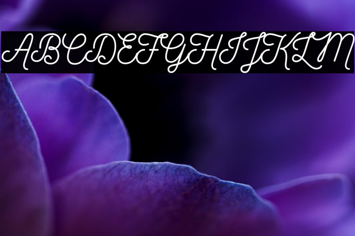 Nickainley-Normal Example 2