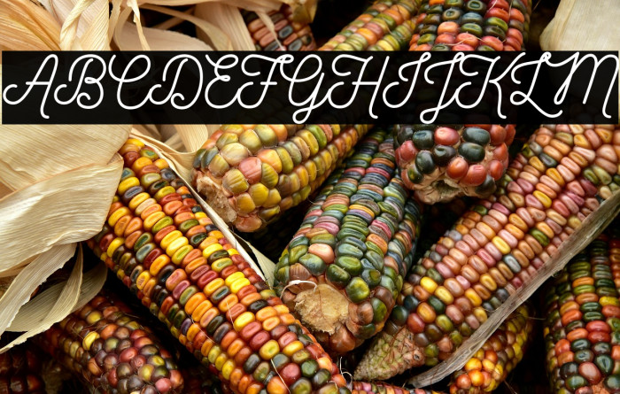 Nickainley-Normal Example 3