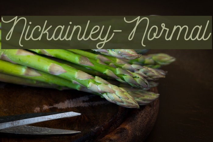 Nickainley-Normal Font examples