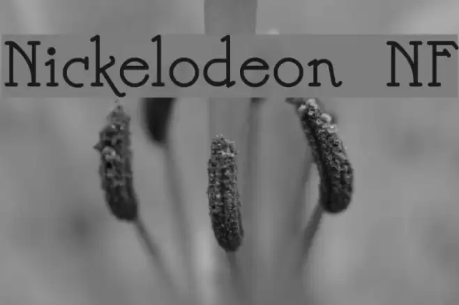 Nickelodeon NF Font examples