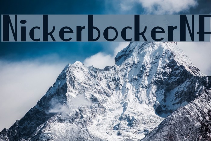 NickerbockerNF Example 1