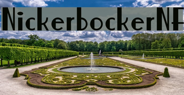 NickerbockerNF Example 2