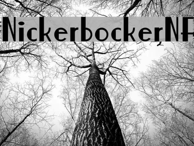 NickerbockerNF Font examples