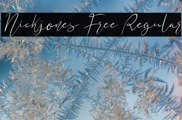 Nickjones Free Regular Example 2