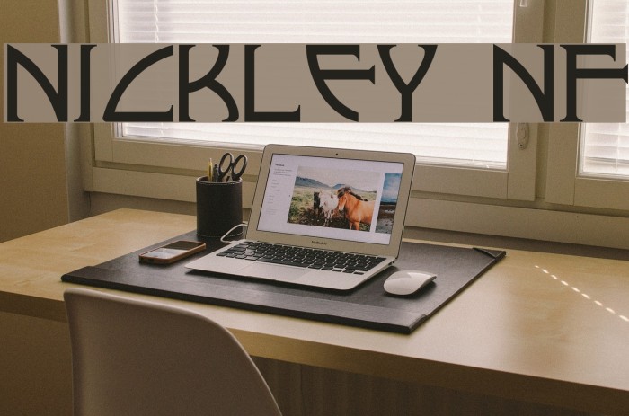 Nickley NF Polices examples