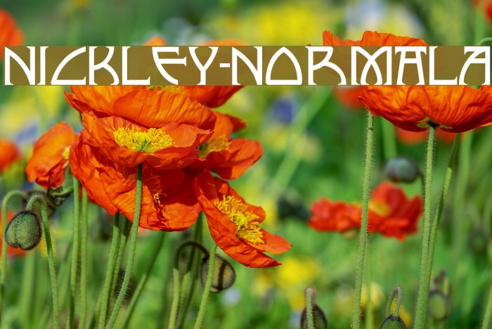 Nickley-NormalA フォント examples