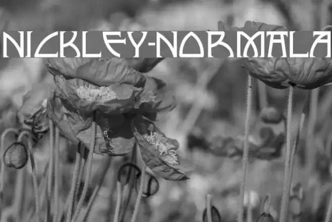 Nickley-NormalA फ़ॉन्ट examples