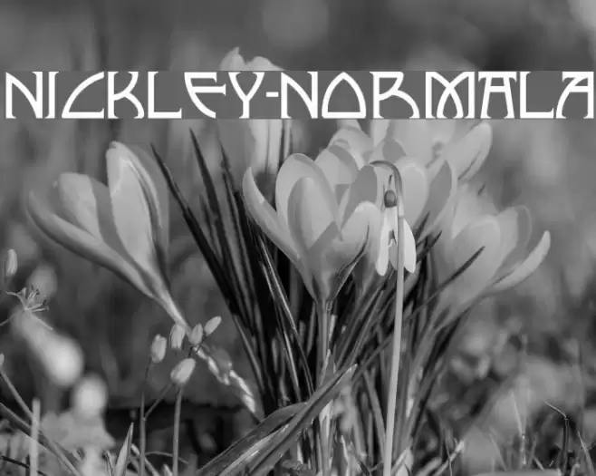 Nickley-NormalA फ़ॉन्ट examples