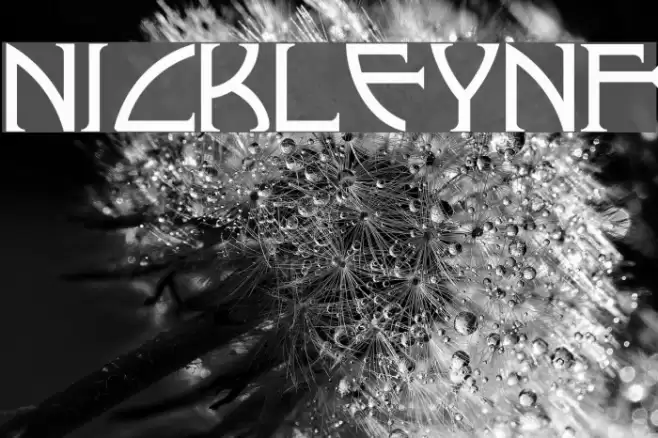 NickleyNF Font examples