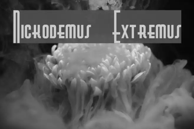 Nickodemus-Extremus Example 2