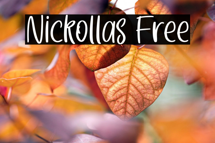 Nickollas Free Example 1