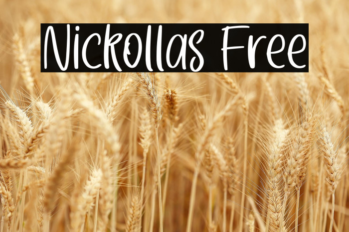 Nickollas Free Example 2