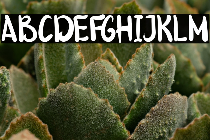 NickyMarvelo-Regular Example 3